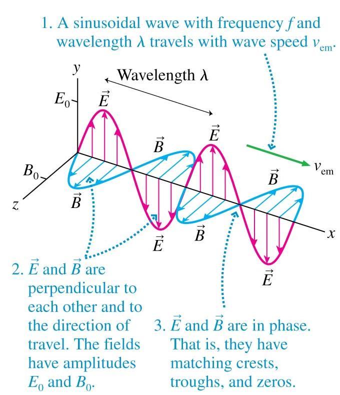 4: Solutions are waves!
