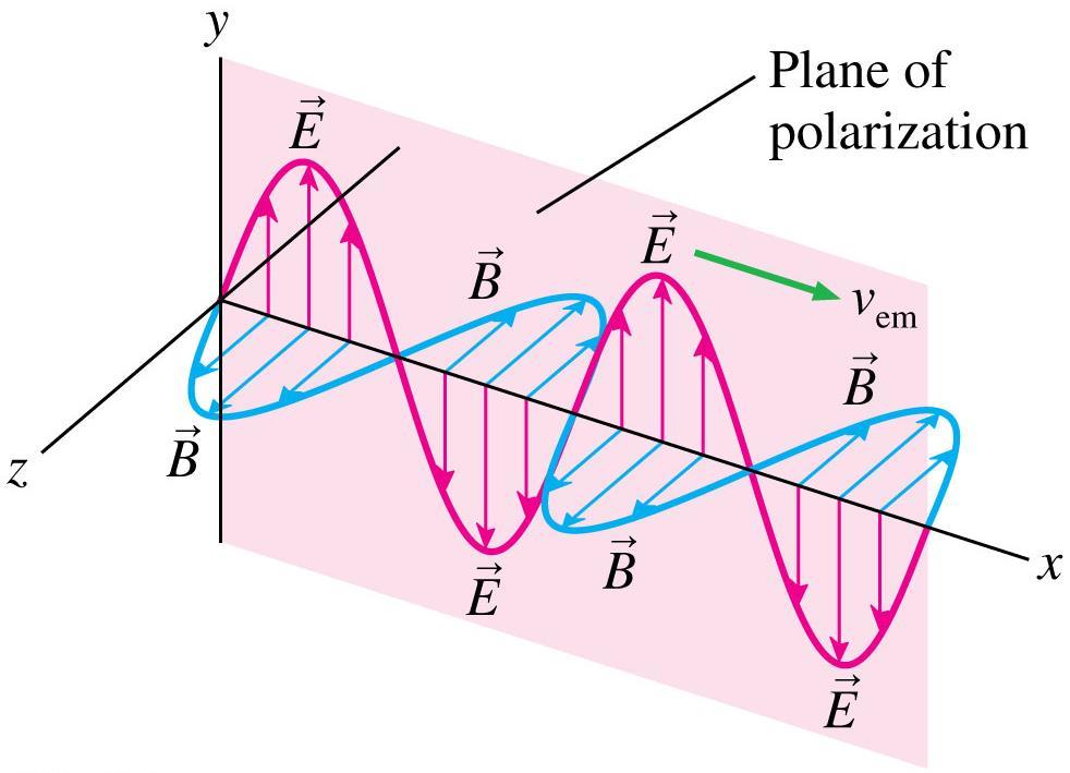 Polarization The plane of the electric field vector and the Poynting vector is called the plane of polarization.