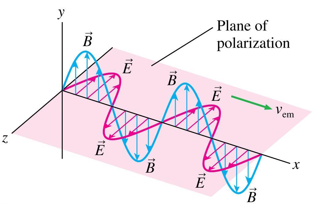 Polarization The electric field in the figure below is horizontally polarized.