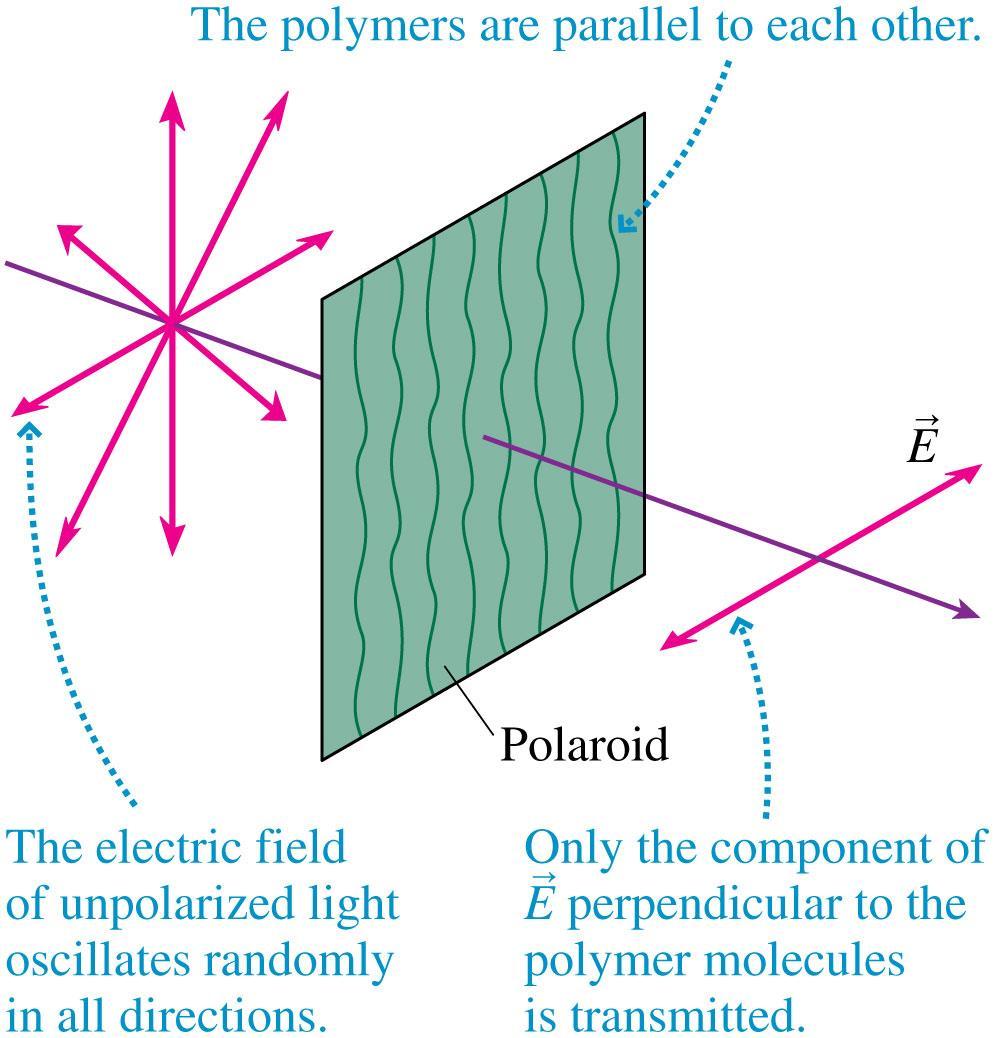 Polarization The most common way of artificially generating polarized