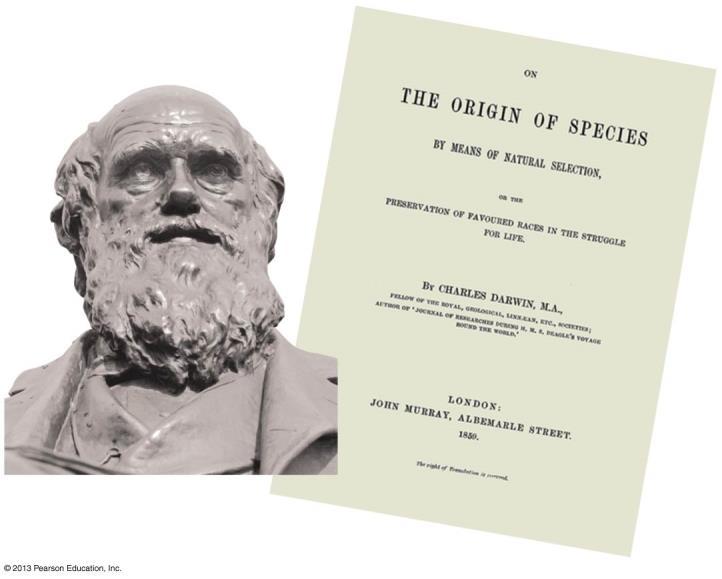 The Darwinian View of Life 49 The evolutionary view of life came into focus in 1859 when Charles Darwin published On the Origin of Species by Means of Natural Selection. Figure 1.