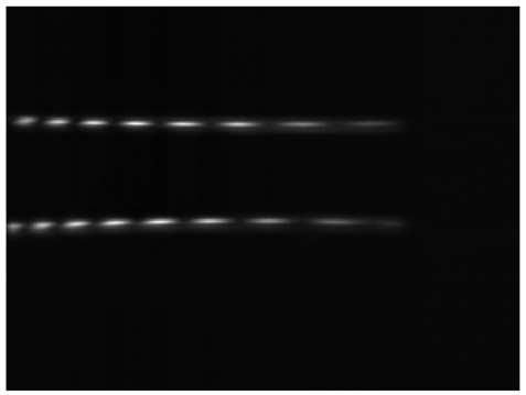 80 CH. LEINERT ET AL. Figure 6. Dispersed fringes measured in the laboratory. The optical path difference between the two interfering beams was about 140 µm.