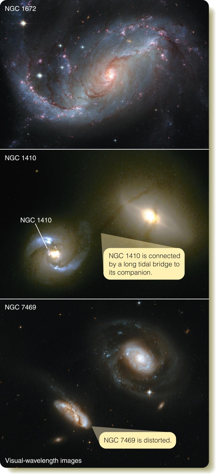Seyfert Galaxies Unusual spiral galaxies: Very bright cores Emission line spectra.