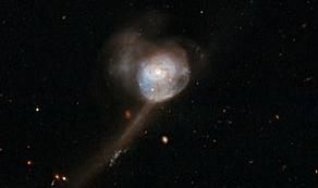 How much do supermassive black holes grow in mass through gas