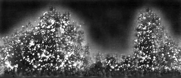 Figure 12: Trees lit with fireflies. The simplest model of this phenomenon is a collection of a large number of identical oscillators with randomized starting values from 0 to a threshold value.