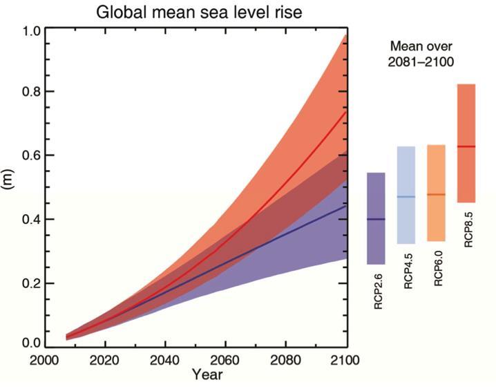 Global mean sea level will continue to rise during the 21st century.