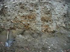 The clay and silt rythmites with till deposits above (sands, pebbles, and cobbles).