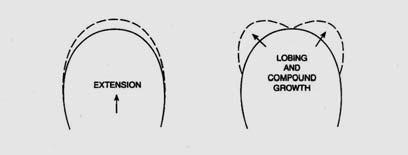 balance of centrifugal and