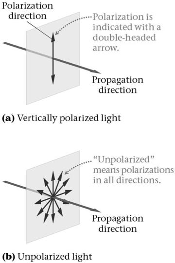 Unplarized light has its electric fields in randm directins.