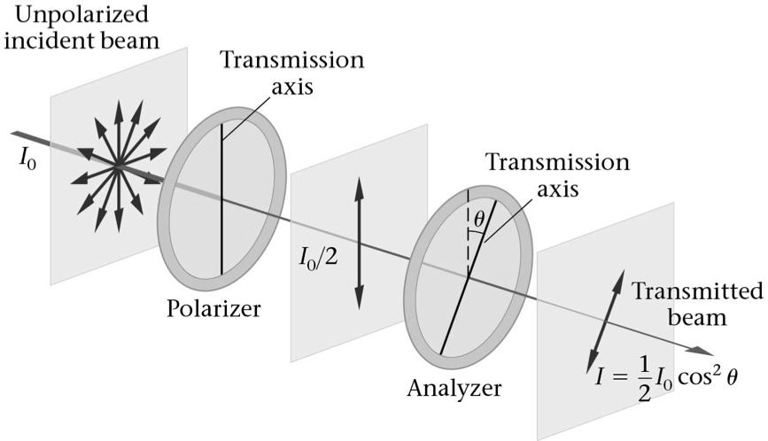 initial intensity A plarizer and an analyzer can be