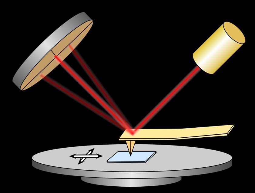 Atomic Force Microscope (AFM) Tip Sample Piezoelectric for stage movement The tip is bending up and down based on the interaction forces