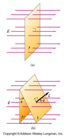 (a) The electric flux through the surface = EA. (b) When the area vector makes an angle f with the vector E, the area projected onto a plane oriented perpendicular to the flow is A perp.