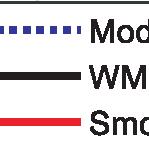 WMGS and smooth model