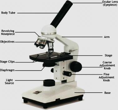SEM vs Optical Microscope Optical Microscope SEM