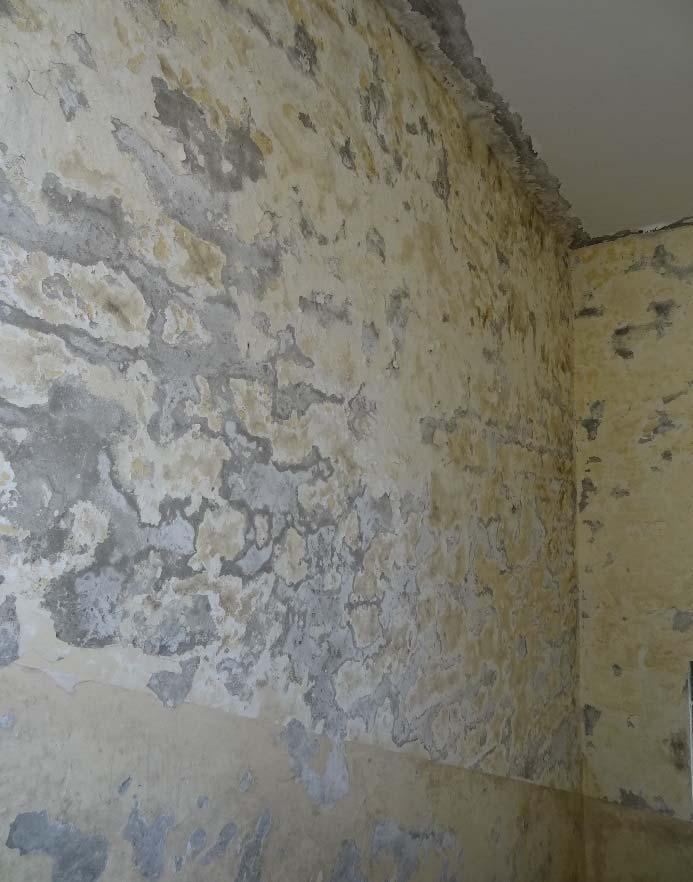In some cases the moisture has caused the plaster to fall off and in other cases there is visible mould growth on the wall.