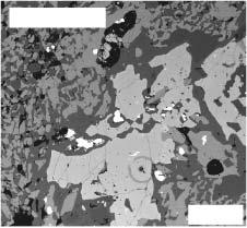 HP GRANULITES IN BRASÍLIA BELT 1017 The fourth sample was analysed using a Seimens SRS-200 sequential spectrometer at Washington University; the Fe 2 O 3 content was based on average proportions of