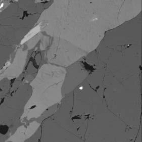 (c) Coarse-grained muscovite intersertal between K-feldspar and quartz grains in sample 04-6-2.