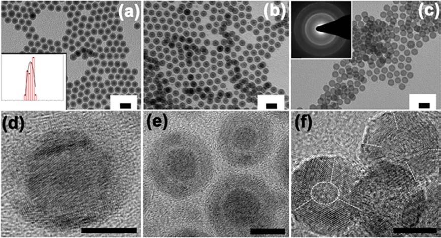 Further high resolution TEM imaging (HRTEM) shows that the particles are composed of randomly oriented grains of iron-oxide.