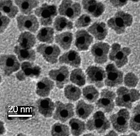 AUTHOR SUBMITTED MANUSCRIPT - draft Page of 0 0 (a) (c) 0 nm Figure : (a) TEM image of flower-like Au-FeO nanoparticles.