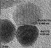(c) TEM image of flower-like Ag-FeO nanoparticles (the diameter of Ag is ~ nm and the diameter of FeO is ~0 nm) and (d) the FC