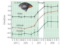 Directional selection: Darwin s finches Grant s study Disruptive selection Disruptive selection Curvilinear