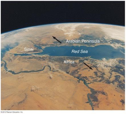 Surface Features The Red Sea is
