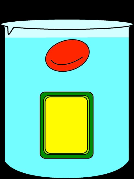 When a cell is placed in an isotonic solution, the container has the same solute concentration compared to inside the cell.