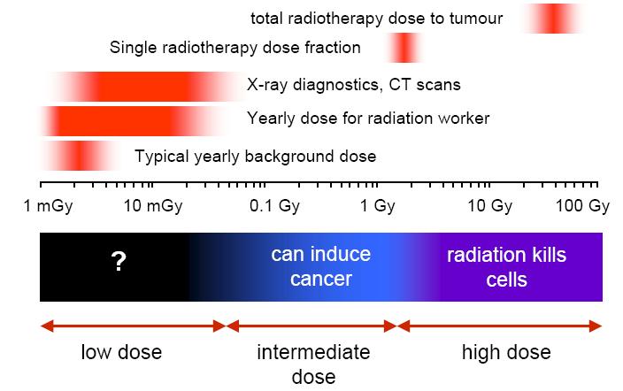 Sievert (Sv) Each type of radiation has different ionising ability Each part of human body interacts differently to radiation Define new unit - quantify biologically equivalent dose Sievert has units
