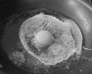 What happens when a raw egg hits a hot fry pan? 4.