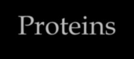 Proteins Proteins are the machinery or hardware Compose the cellular structures Control the biochemical reactions in cells Regulate and trigger