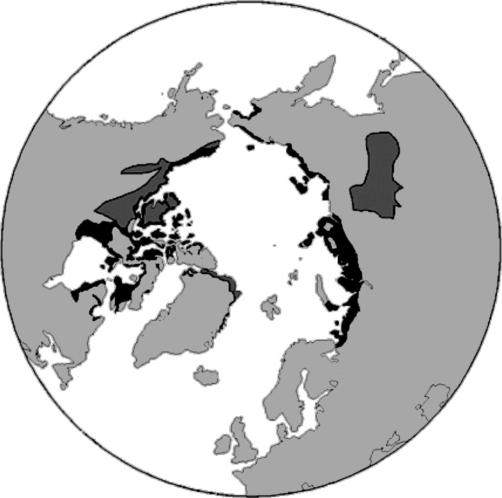 Table 1. Average salinization of frozen soils along the Russian Arctic coast. Area Sampling site Salinization, % European part Haipudir Bay.3 of Russia Amderma.1 1.5 Kolguev island.2.8 Pechora river.