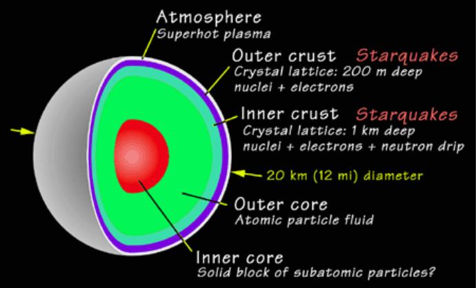 Pulsar Anatomy How do pulsars occur? As the star's core collapses, it speeds up to conserve angular momentum this gives it a very rapid rotation rate.