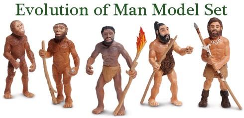Models of evolution We use models to check if we really understand something If our observations agree with the model, then we understand that something well (and vice versa) In a model of evolution,