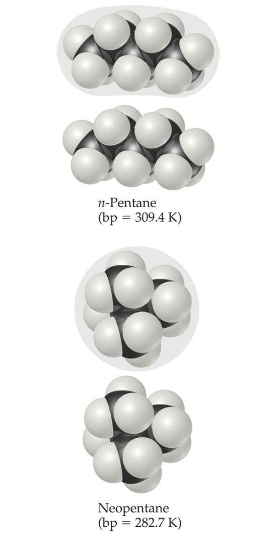 Factors Affecting London The shape of the molecule affects the strength of dispersion forces: long, skinny molecules (like n- pentane