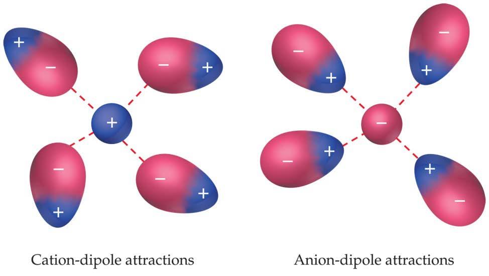 Ion-Dipole Interactions A fourth type of force, ion-dipole interactions are an important force in solutions of