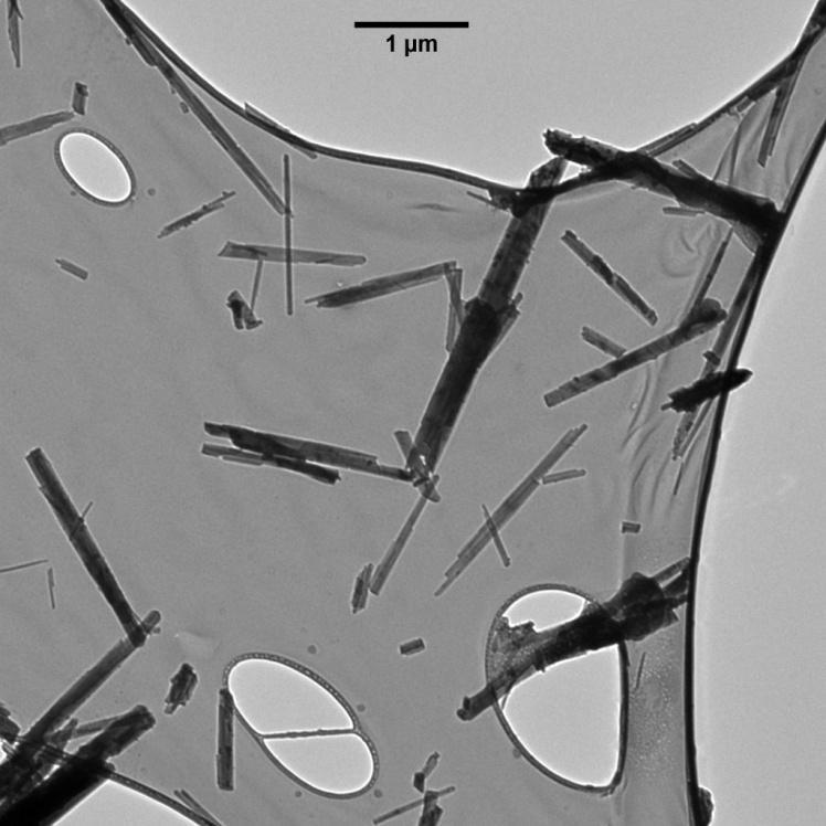 Figure 2.1 A TEM image of goethite rods similar to the particles used in our experiments, made using the same process found in Schwertmann and Cornell [25].