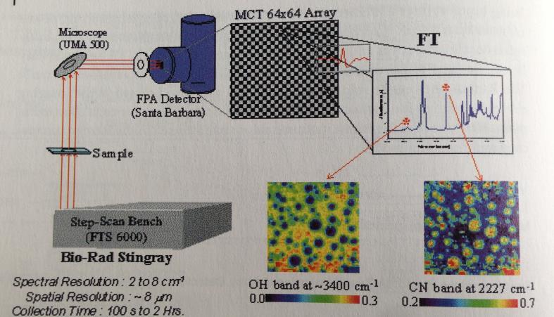 170µm Spectroscopic Methods: FTIR Microscope