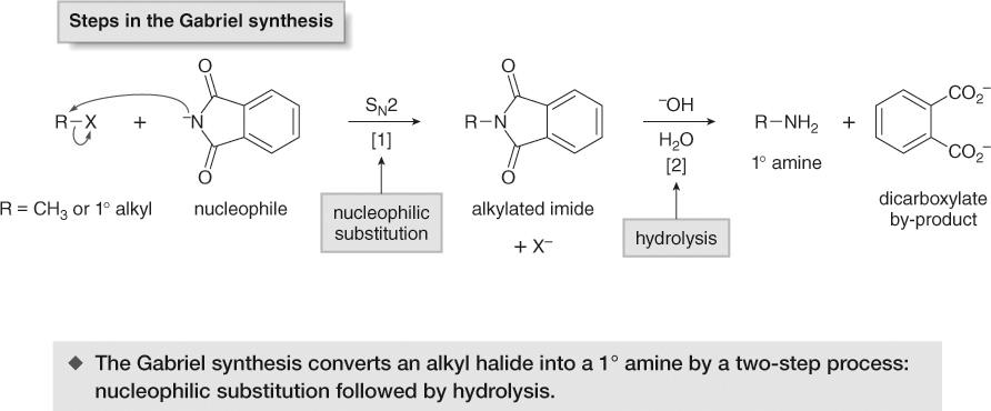 29 The alkylated imide is then hydrolyzed with aqueous base to give a 1 0 amine and a dicarboxylate. 30 3.