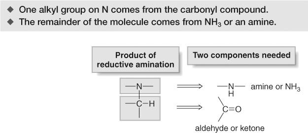amination is used to prepare 2 0 and