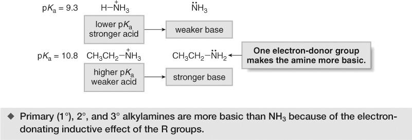 45 Amines as Bases Because alkyl groups are electron-donating, they increase the electron density on nitrogen, which makes an amine like CH 3 CH 2 NH 2 more basic than NH 3.