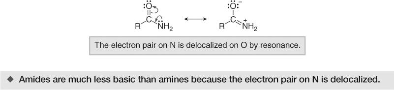 50 Amines as Bases To compare the basicity of an alkylamine and an amide, we must once again compared the availability of the nonbonded