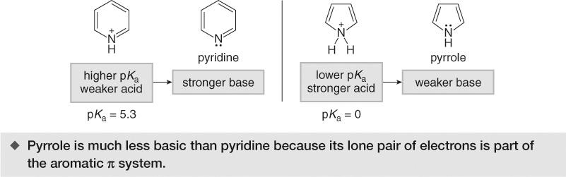 53 Amines as Bases As a result, the pk a of the conjugate acid of pyrrole is much less