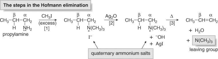 61 Amines Nucleophiles 62 Hofmann Elimination The Hofmann elimination converts an amine into an alkene.