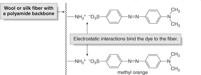 87 Natural and Synthetic Dyes Wool and silk contain charged functional groups, such as NH 3+ and COO. Thus, they bind to ionic dyes by electrostatic interactions.