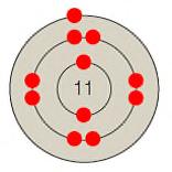 Figure 2.4C 12. Whih atom is depited in the aompanying figure? a. hydrogen. sodium.
