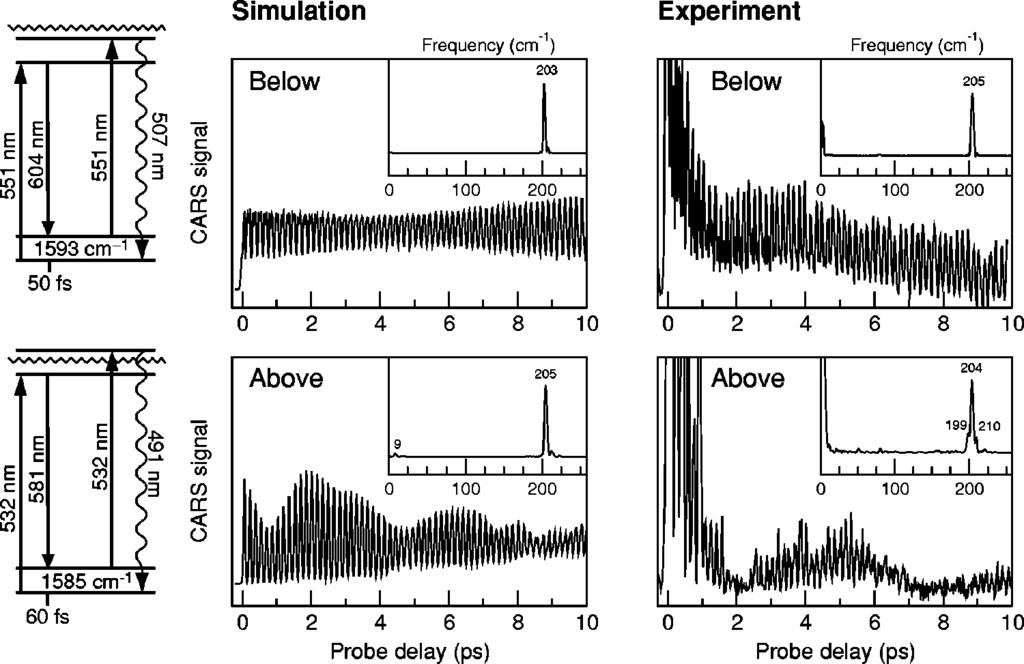 J. Chem. Phys., Vol. 115, No. 18, 8 November 2001 Vibrational polarization beats in CARS 8451 FIG. 10.
