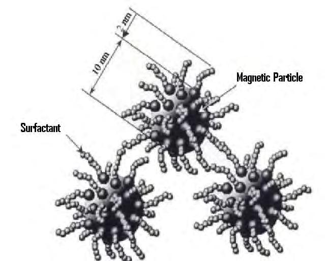Ferrofluids Ferrofluids Nanosied particles in carrier liquid (diameter~1nm) Super-paramagnetic, single domain particles Coated with a surfactant (~nm) to prevent agglomeration Applications Hermetic