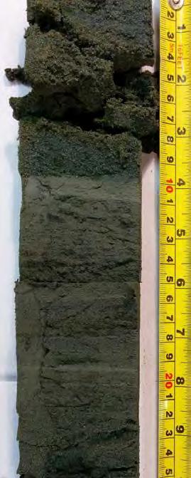 Site Characterization Tools 3.65 DEPTH BELOW GROUND SURFACE (m) (a) 3.70 3.75 3.80 3.85 3.