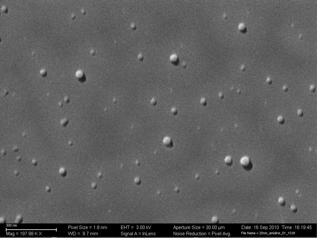 Supplementary Figure S6. Image of 20 nm amidine latex particles at the hexane/water interface.