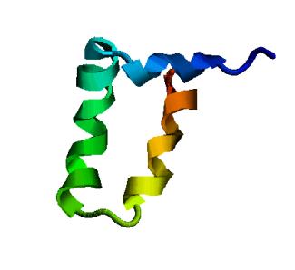 Simulated Refolding pathway of the 46-residue protein.